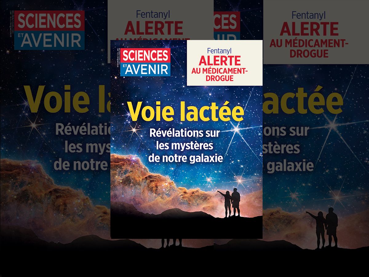 Sciences et Avenir : Voie Lactée