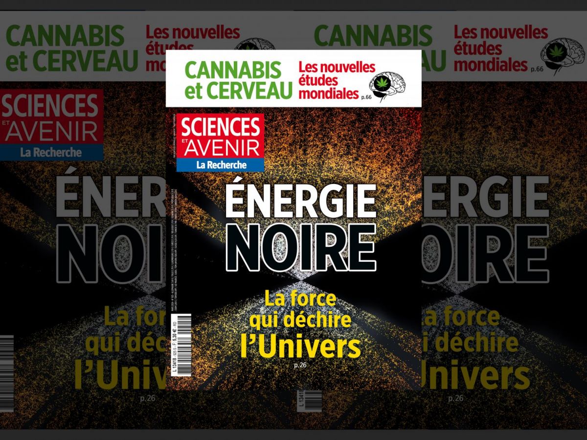 Sciences et Avenir : Energie Noire